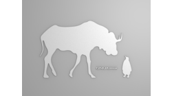  [Fond d'écran 'Gnu et Tux', silhouettes blanches] 