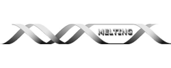 logo de melting